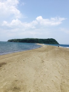 知林ヶ島