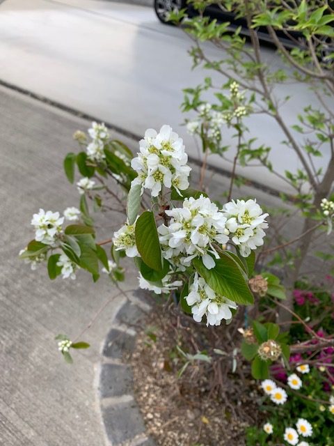 また新しい季節に。